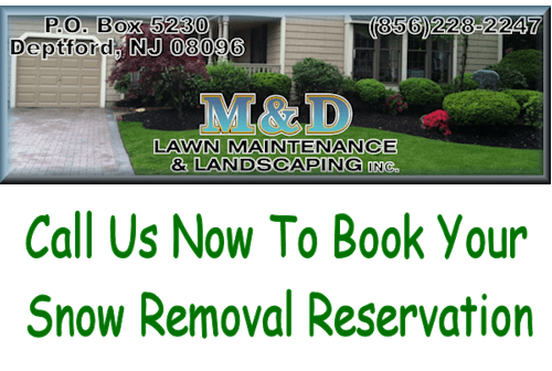 M and D Landscaping